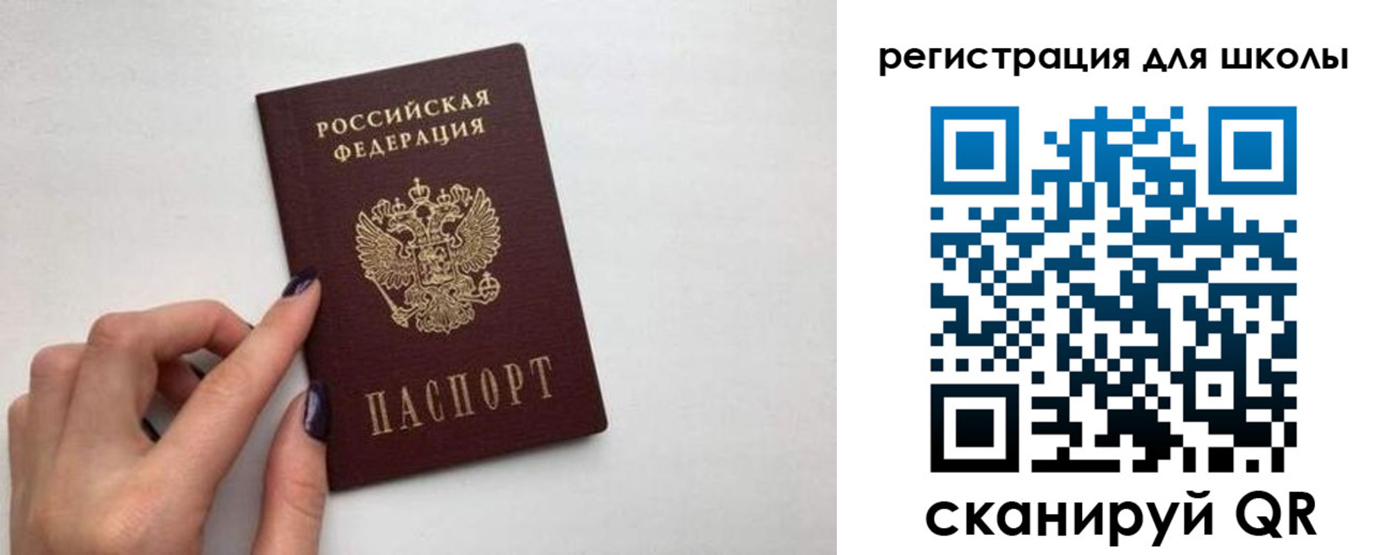 прописка поиск в Порхове